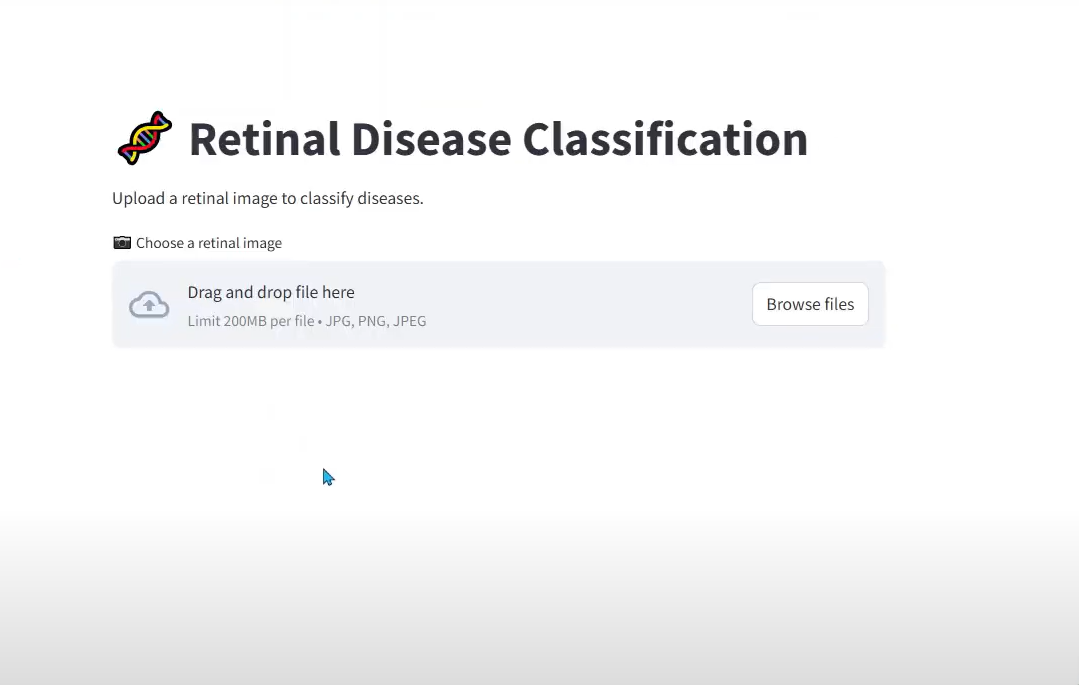 Retinal Disease Detection Using YOLO-v11